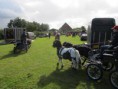 /album/menrit-en-barbecue-29-09-2014/menrit-29-9-12-029-jpg/